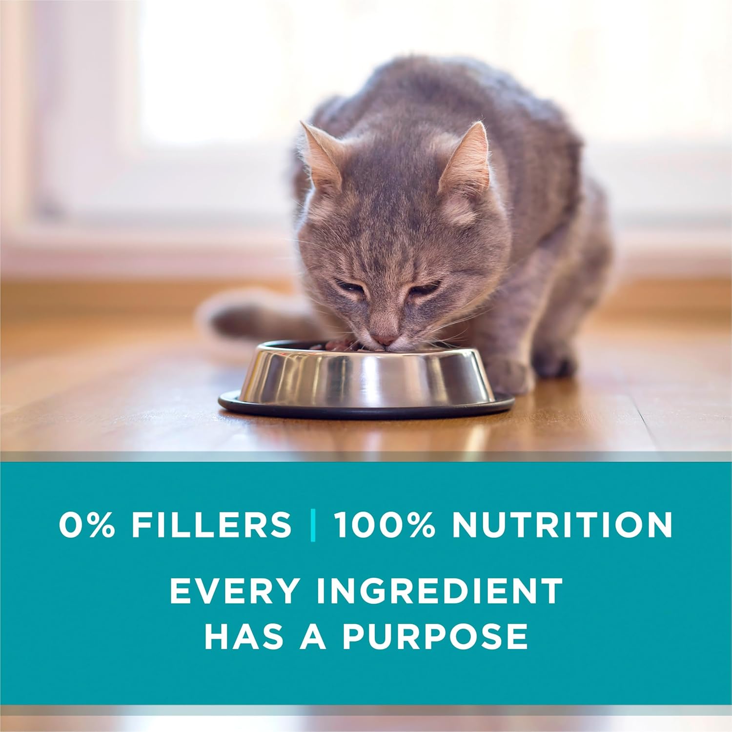 Purina ONE Natural, High Protein, Grain Free Wet Cat Food Pate, Turkey Recipe - (Pack of 24) 3 oz. Pull-Top Cans - Image 7