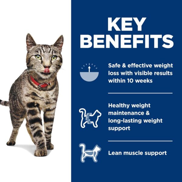 Hill's Science Diet Perfect Weight, Adult 1-6, Weight Management Support, Dry Cat Food, Chicken Recipe, 7 lb Bag - Image 4