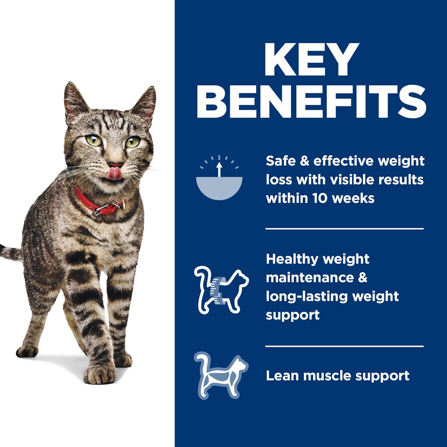 Hill's Science Diet Perfect Weight, Adult 1-6, Weight Management Support, Dry Cat Food, Chicken Recipe, 7 lb Bag - Image 4