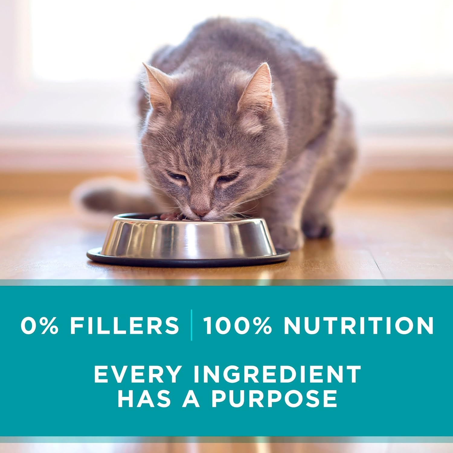 Purina ONE Natural, High Protein, Grain Free Wet Cat Food Pate, Turkey Recipe - (Pack of 24) 3 oz. Pull-Top Cans - Image 9