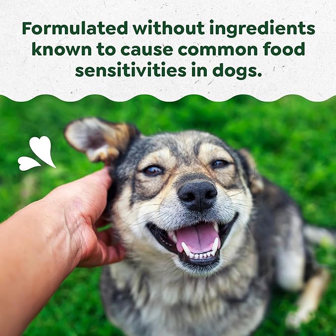 Greenies Sensitive Care Allergy & Immune Support Dog Supplement Chicken-Free Formula, Peanut Butter Flavor, 80 Count Tub - Image 4