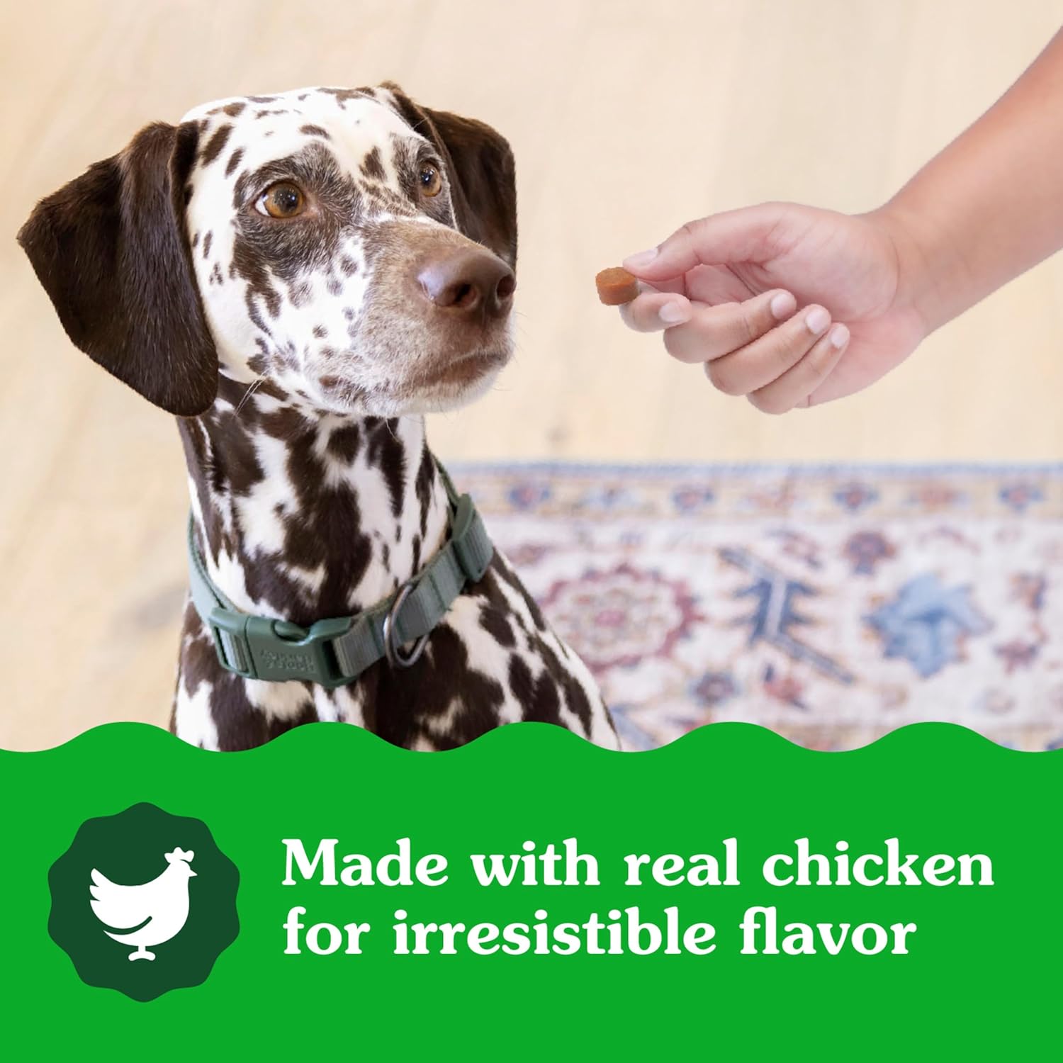Greenies Sensitive Care Allergy & Immune Support Dog Supplement Chicken-Free Formula, Peanut Butter Flavor, 80 Count Tub - Image 10